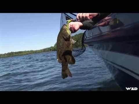 Fishing for Smallmouth Bass in Ontario