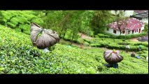Anjala Tea Podu Video Song | Vimal | Nandhita | Gopi Sundar