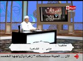 رأي فضيلة الشيخ-خالد الجندي حفظه الله في جماعة الدعوة والتبليغ