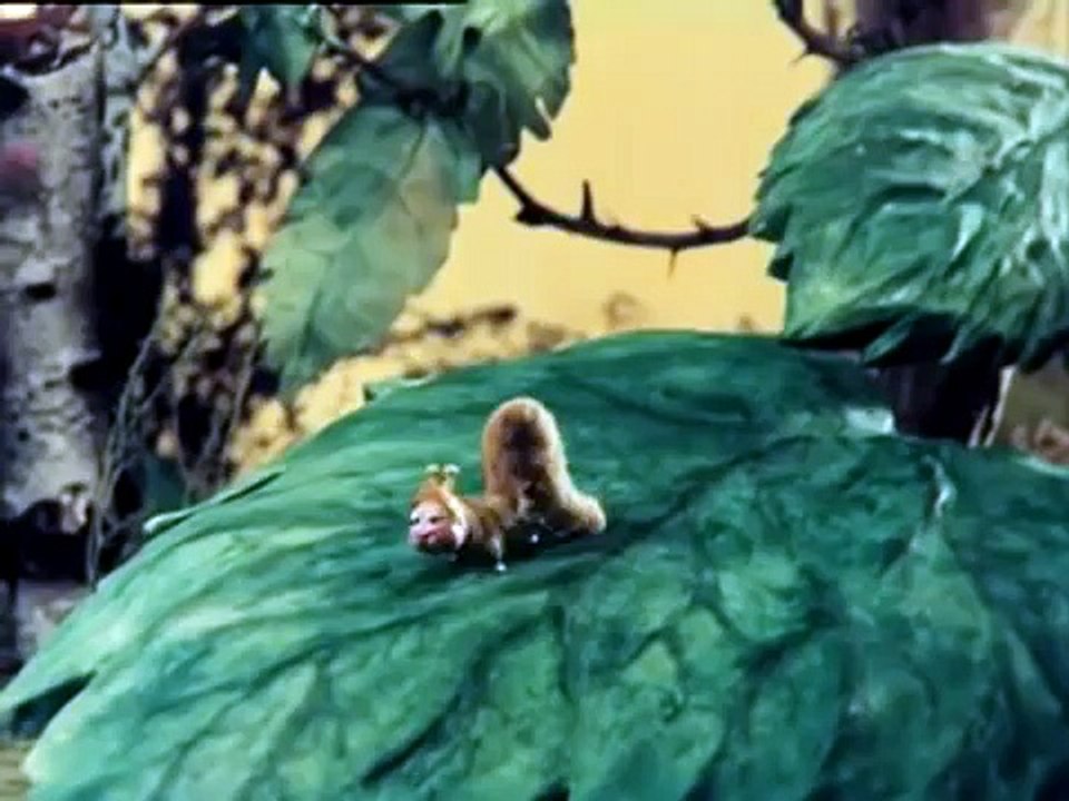 Кто придет на Новый год - Новогодние мультфильмы для детей (1982)