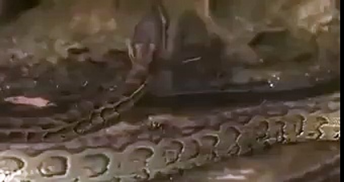 Snake broke into the kingdom of the ants watch and arrange the ants to attack the snake, and defend the kingdom!