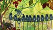 Мультфильм Маугли все серии «Книги джунглей» Редьярда Киплинга
