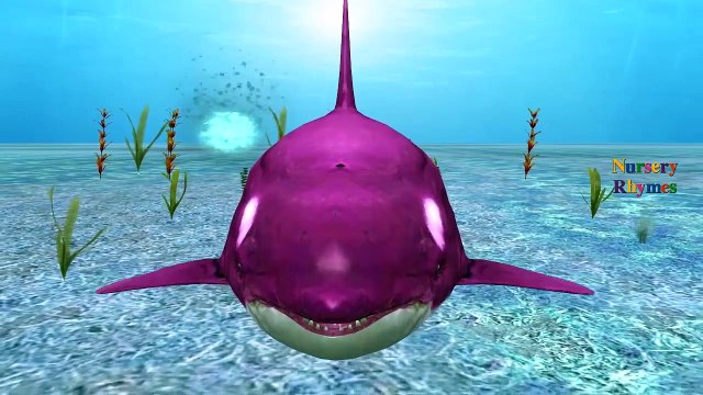 Finger Family Children Nursery Rhymes for Preschool Sharks Cartoon | Finger Family Rhymes