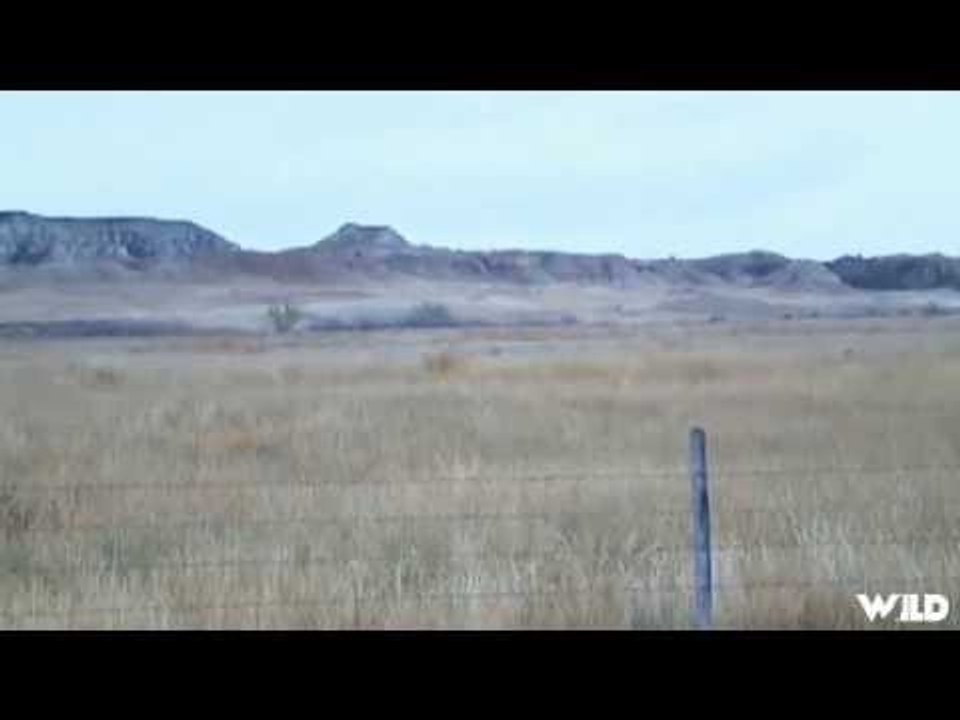 Hunting Mule Deer with Jamier Satterfield