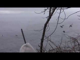 Hunting Late Season Diver Duck Hunting