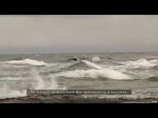 Hunting Eider on the Gaspe Peninsula