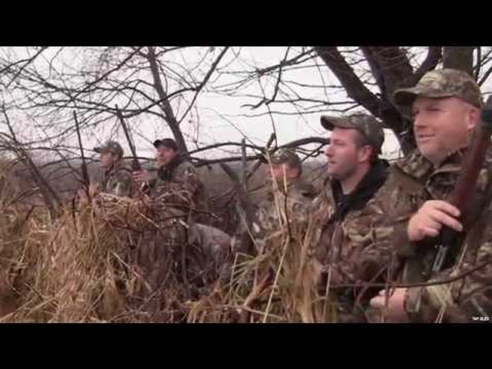 Canada Goose Hunting Perfect Day
