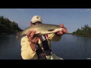 Fishing for Whitefish in the NWT