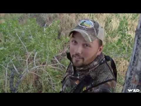 Hunting Deer at Milk River