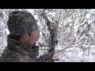 Hunting Mountain Lion with Bow in Idaho