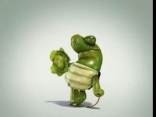 Mickael the turtle
