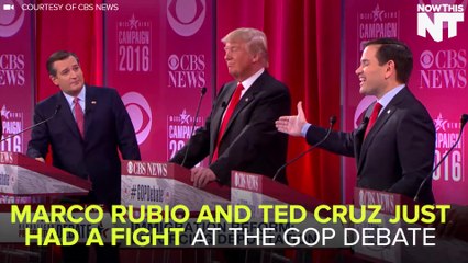 Ted Cruz Fights Rubio In Spanish