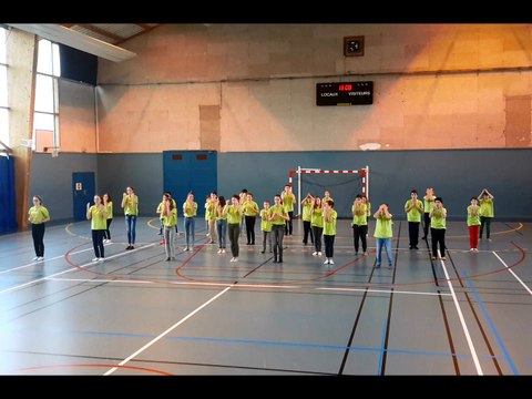 flashmob euro2016 Collège J.Romains St-Galmier