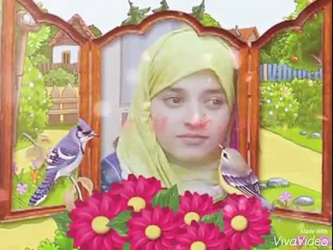 VID-20151109-WA0006.mp4