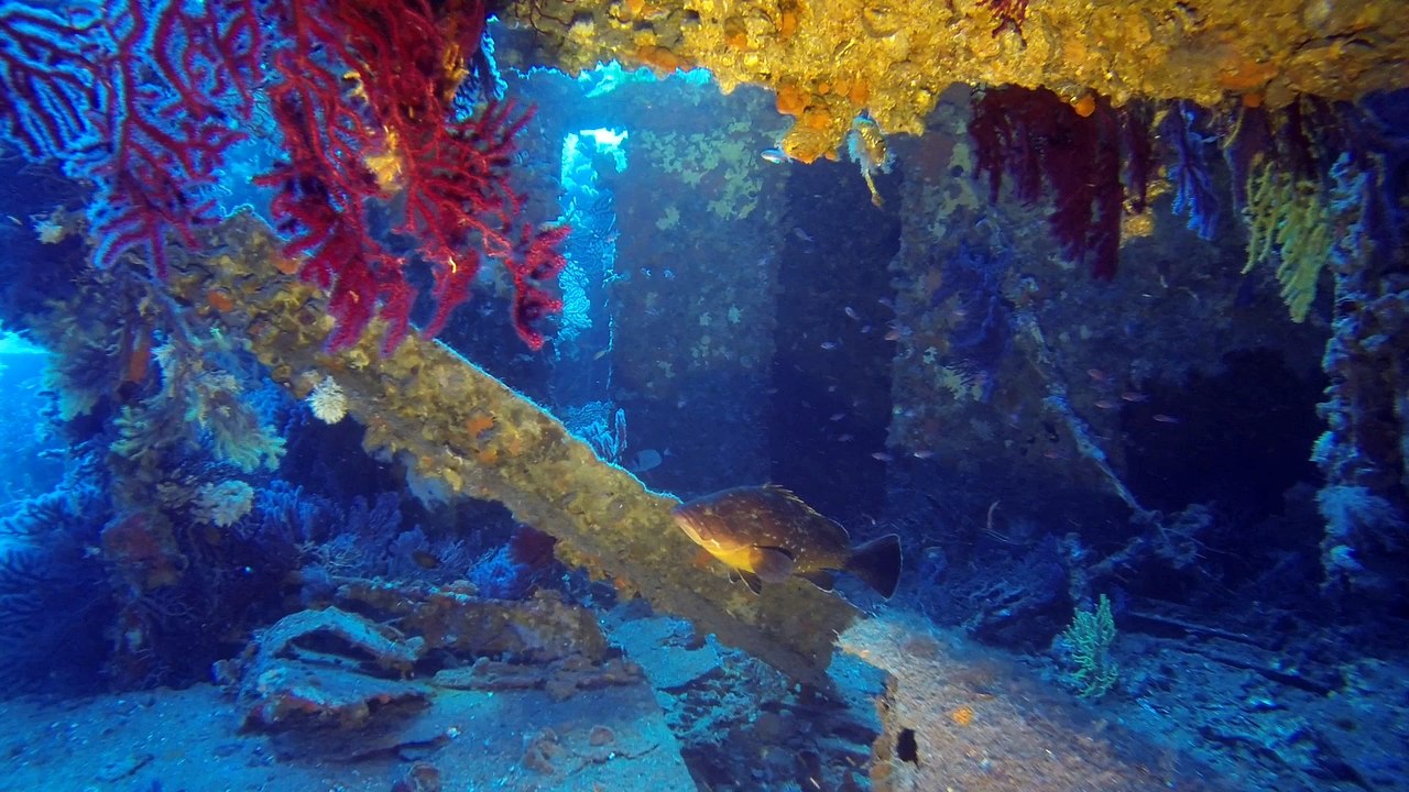 Plongée sur l'épave du Donator (Port-Cros)