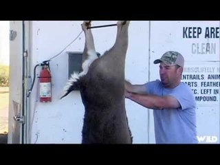 Hunting Big Whitetail in Texas