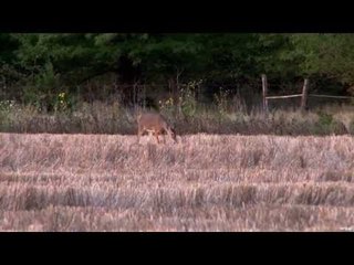 Hunting Deer with Muzzleloader in Kansas