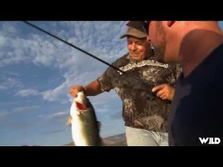 Largemouth Bass Fishing with Mike Folkestead