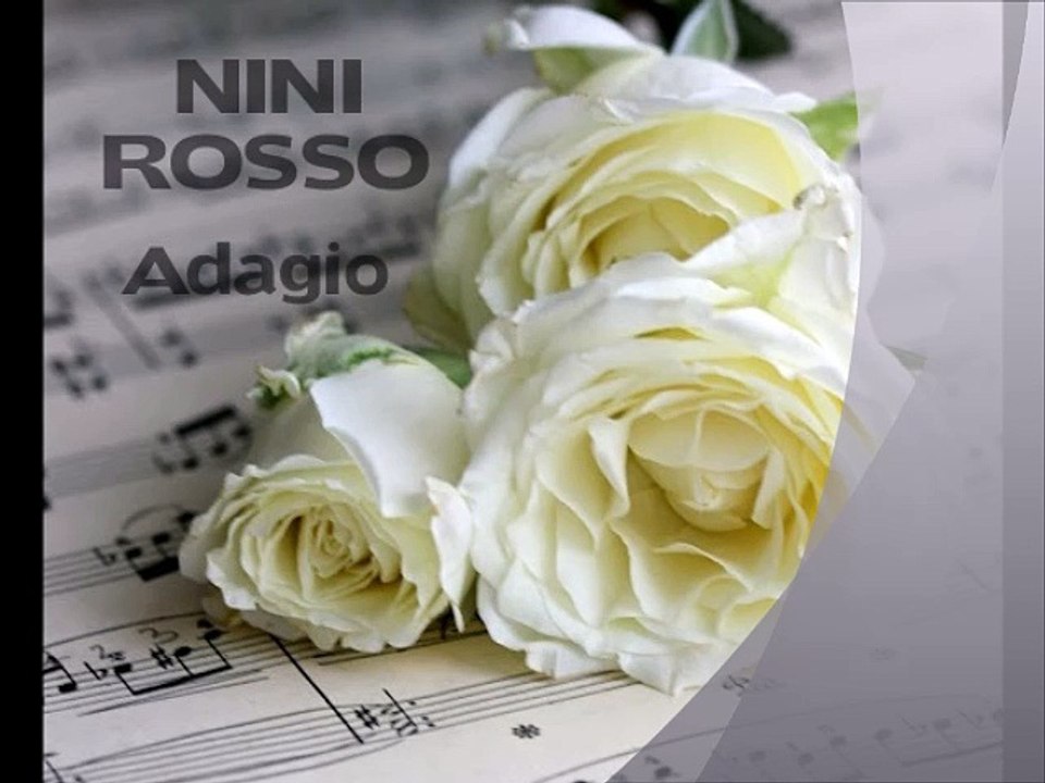 o zi minunata pentru toata lumea