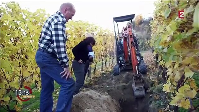 Etat des lieux des nos sols Francais ( claude et lydia Bourguignon) 2016