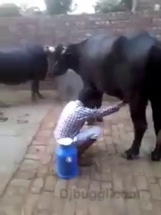 Amazing Funny Clip