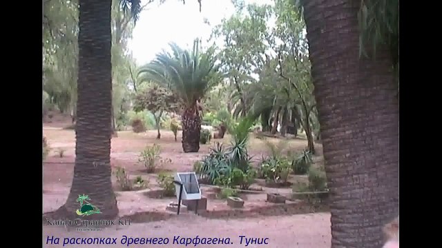 Тунис- Карфаген- Развалины древнего города