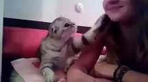 Cutie Cat D very very amazing prank with kissing a beautiful girl
