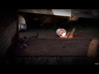 Black Bear Traps Crew In Trailer Part 1