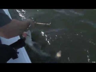 Fishing For Dogfish (Mud Shark) on the BC Coast