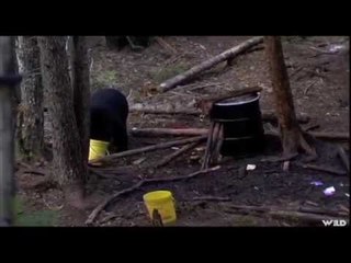 Black Bear Hunting in Nova Scotia Part 1