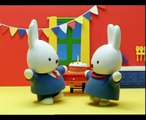 miffys birthday (official miffy video)