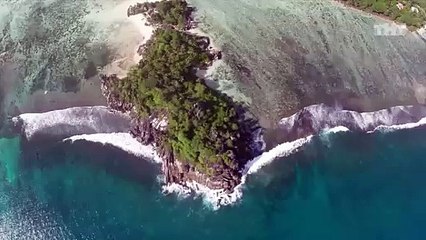 ИГОРЬ ТРЕГУБЕНКО: Привет от свадебных миллионеров!