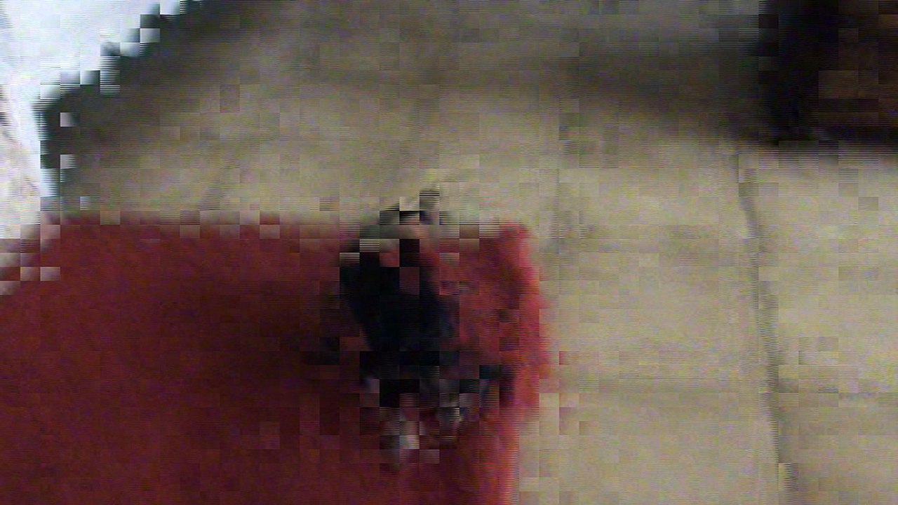 Lego 8 semaines
