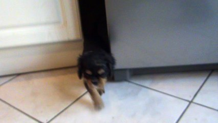 J'ai trouvé une cachette