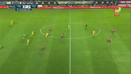 Još jedna golčina Gignaca