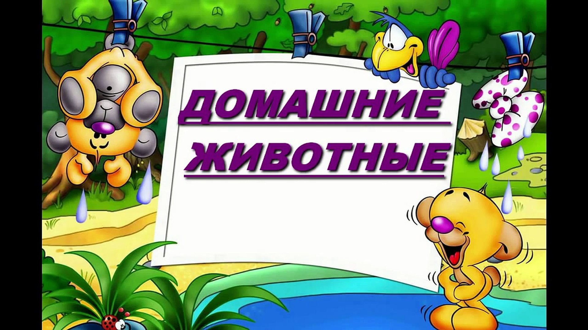 ⁣Домашние животные - Презентация для детей