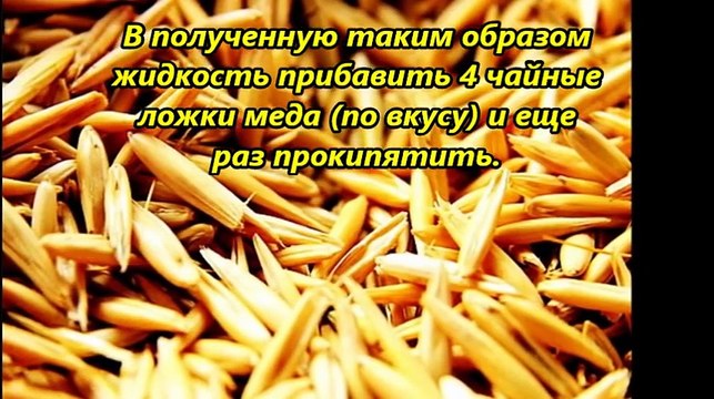 Овес - эликсир жизни