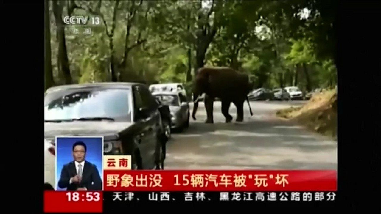 Chine: Un éléphant sauvage en ballade endommage quinze voitures
