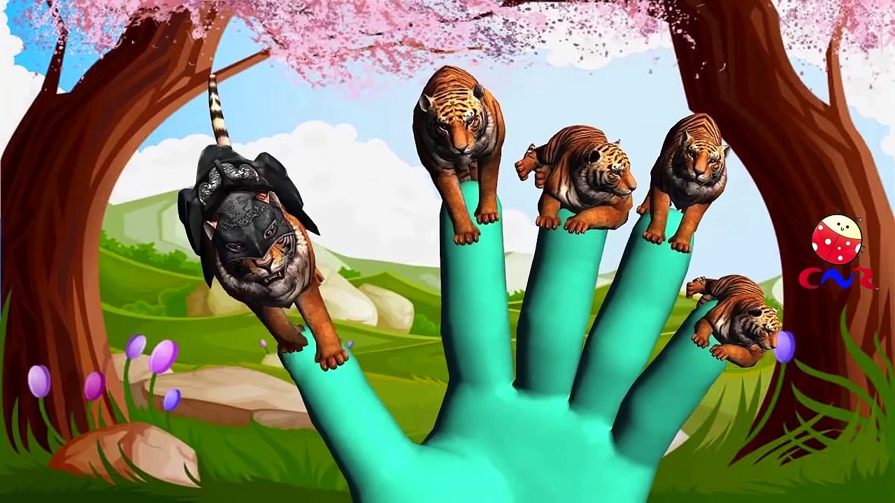 Finger Family Rhymes with Lion Tiger Cheetah | Animal Cartoons Finger Family Children Nurs