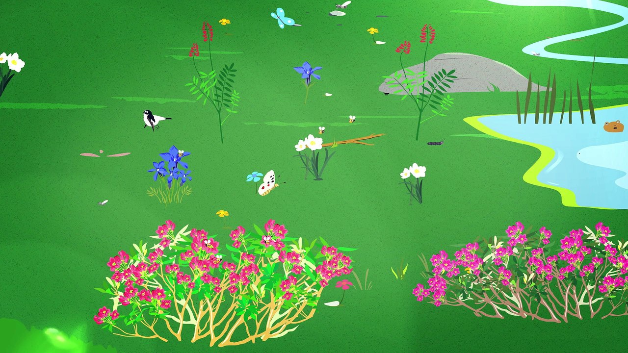 Phénologie : ça chauffe en montagne ! Et pour les plantes ?