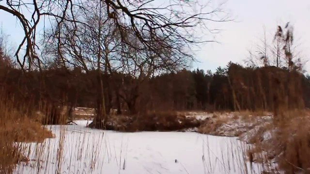 Река Унеча. 5.01.2016