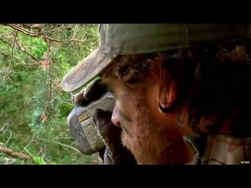 Bowhunting White-tail With Duff