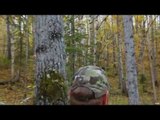 Hunting Monster Elk with Bow in Alberta