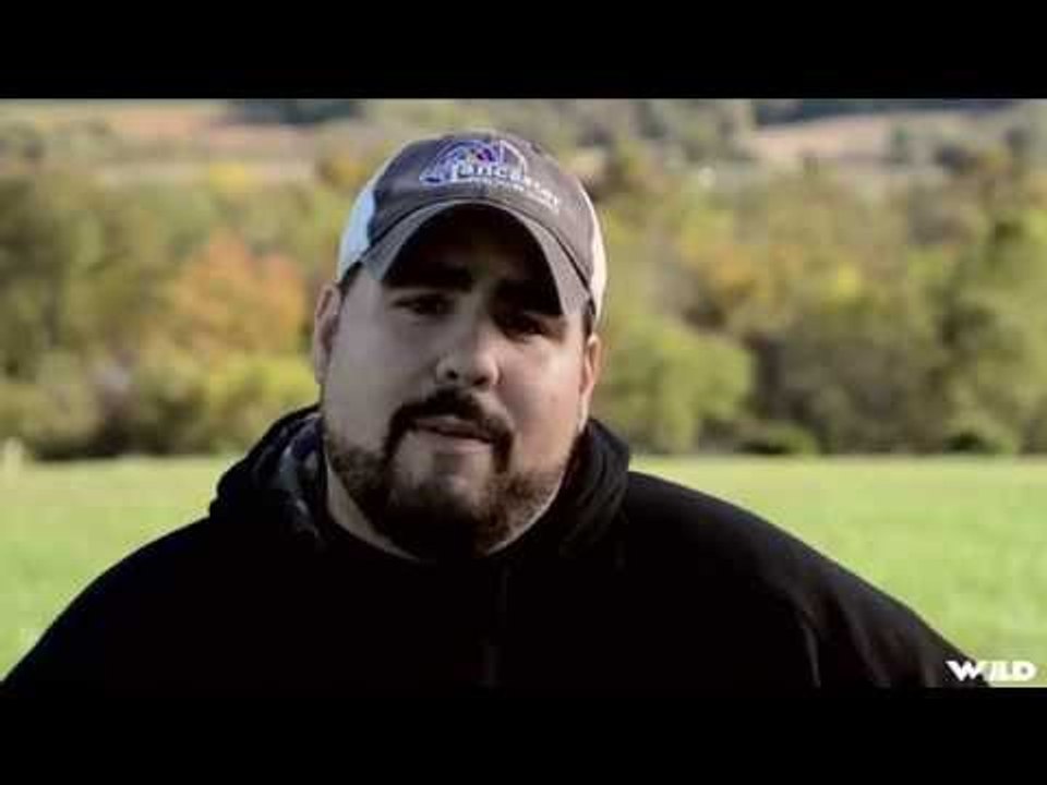 Eastern White-tails And Western Snow Geese