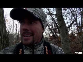 Primal Instinct - Ohio and Pennsylvania Bucks