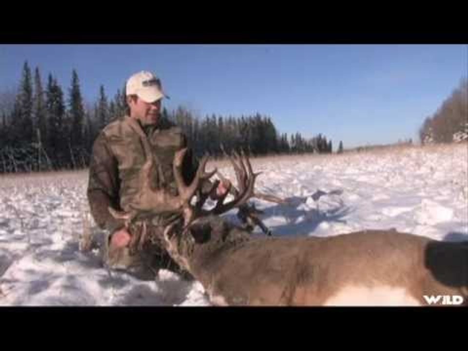 World Record Deer in Alberta