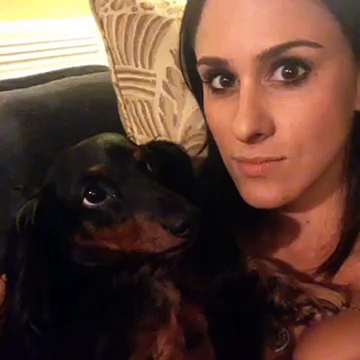 Brittany Furlan Licking Her Dog Dogrevenge Vine Dailymotion Video