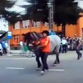 Horse powerfull kick a man funny amazing intresting video