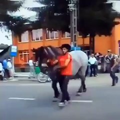 Horse powerfull kick a man funny amazing intresting video