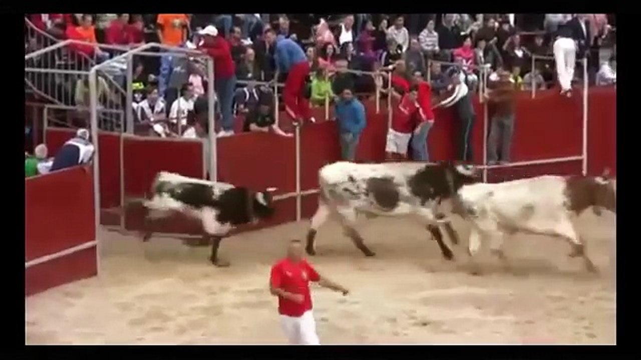 Bull Fighting with People - Videos